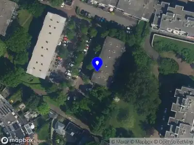 Nieuw bedrijf Haarlem Thorn & Rose Studio