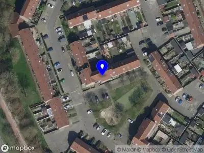 Notenboom Ontwerp Breda