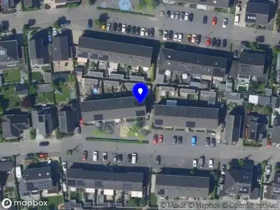 Praktijk Tree of life