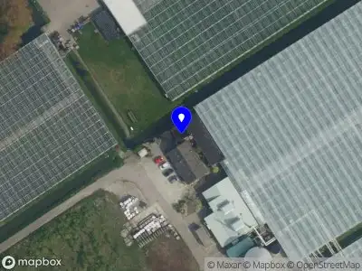 Wolf Roses 34 's-Gravenzande