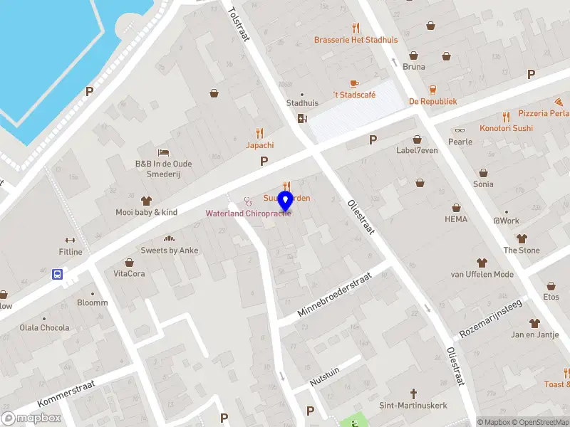 R. van den Hout t.h.o.d.n. Bakker Bart