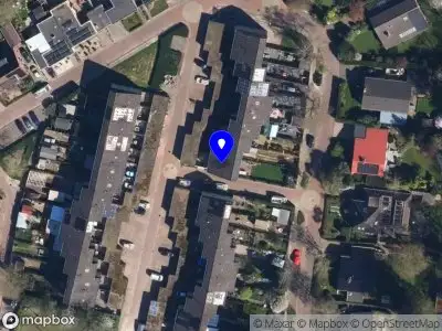 Nieuw bedrijf Myrna's hondenuitlaatservice