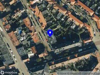 Taal- en leesspecialist Nienke Kroes Zwolle