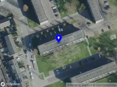 Nieuw bedrijf Online Nederlandse School