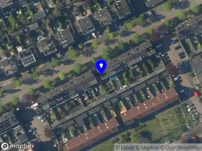 Booming Bee Maarssen