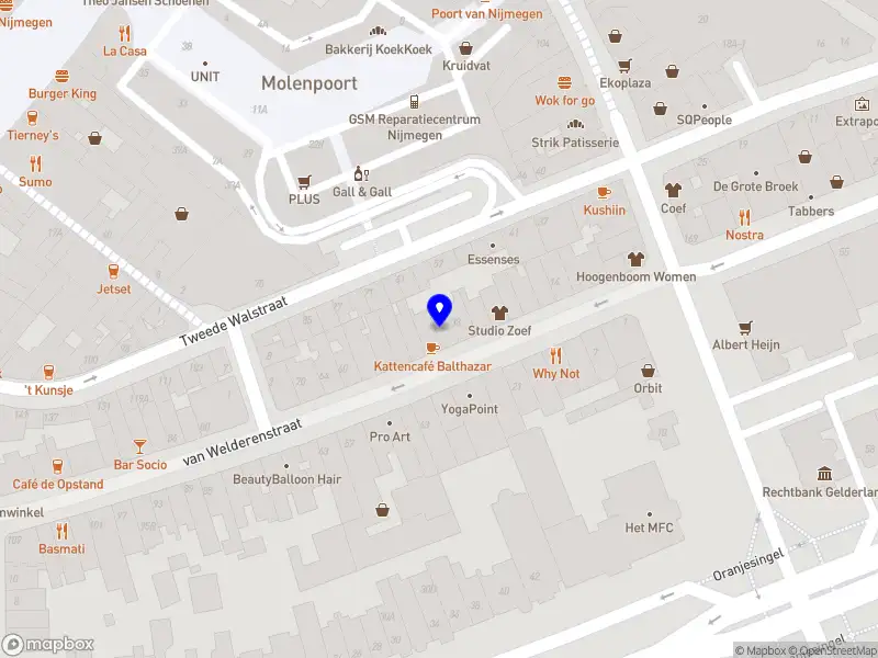Annelotte de Meijer Nijmegen