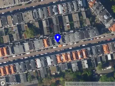 Viviënne van den Berg | Interim | Advisory | (Team) Coaching B.V.