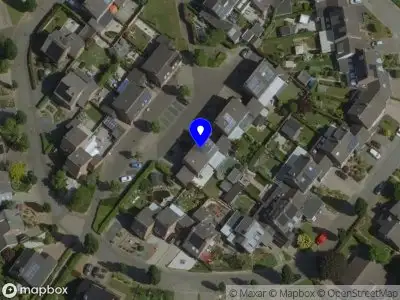 Nieuw bedrijf Yolo dogs & horses