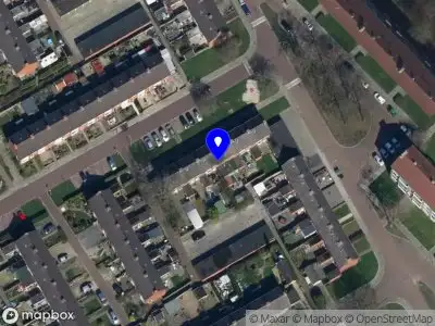 Hondenuitlaatservice en Hondencoach Stadskanaal.