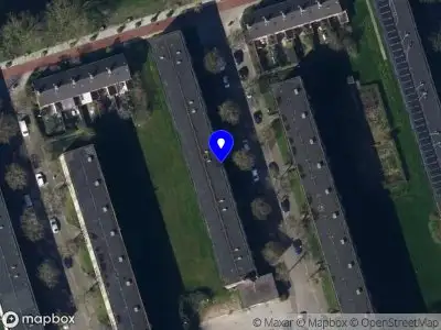 Leo boomverzorging Groningen