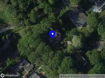 TZ interim management