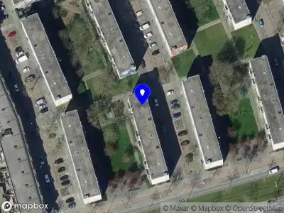 Nekis Rotterdam