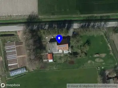Studio Groene Vogel Middelharnis