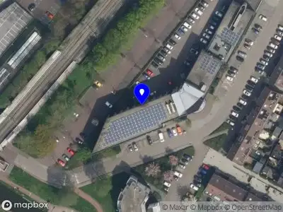 Swart Skaap Nieuwerkerk aan den IJssel