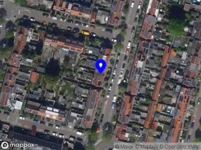 Klaassen Boomzaken Amersfoort