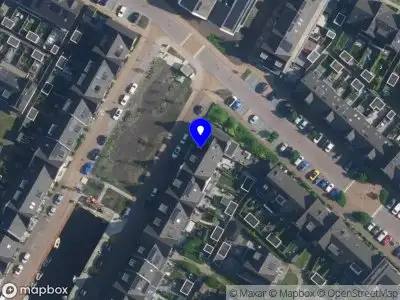 Niels Udo Strategy Performance Consultancy