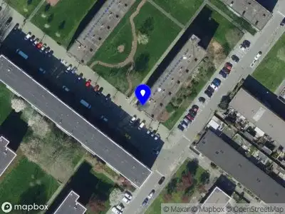 Tarik Events Hoogvliet Rotterdam