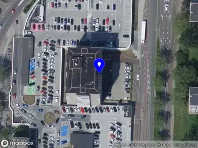 Nieuw bedrijf French Bulldog Forever