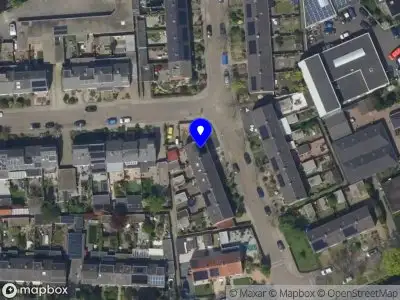 Trimsalon en hondendeskundige Sharona Hooglanderveen
