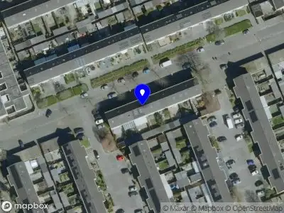 Nieuw bedrijf Roman Consultancy