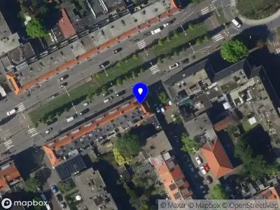 Iliev Ijzervlechter 's-Gravenhage