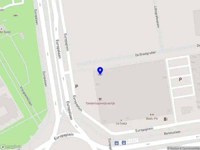 Kunstenaar Anne Jansen Utrecht