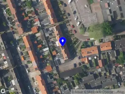 Opienie by Pien Veenink