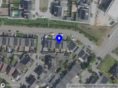 Boom van Leven Helmond