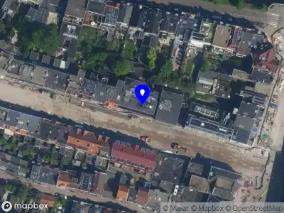 Electric Borneo Cat Haarlem