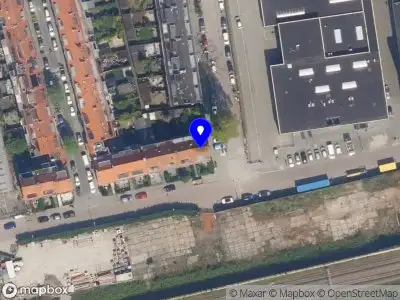 Liveli agency Rotterdam