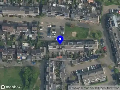 Nieuw bedrijf Maja Teaches Languages