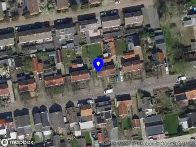 Coaching Human & Dog