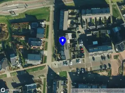 NMT Finance interim professional