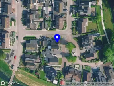 Huisjevaasjebloempje