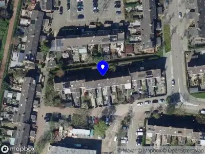 Fanny Folkers hairstylist