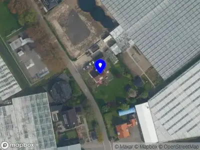 Nieuw bedrijf C'est la vie-bloemen uit eigen kwekerij