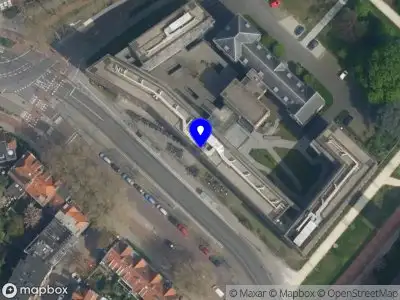 Activation Artist Delft