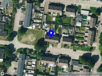 Nieuw bedrijf Dinomoon