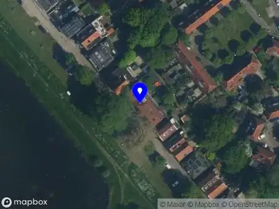 Wild Roses Company Amsterdam