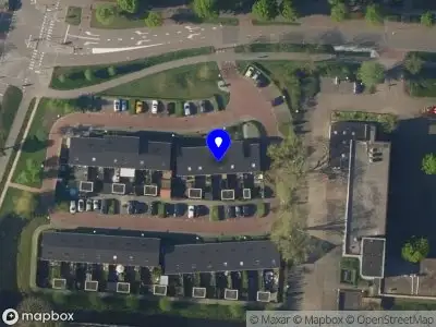 Golden Panther Leusden