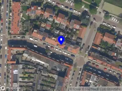 Man van staal en hout Vlaardingen