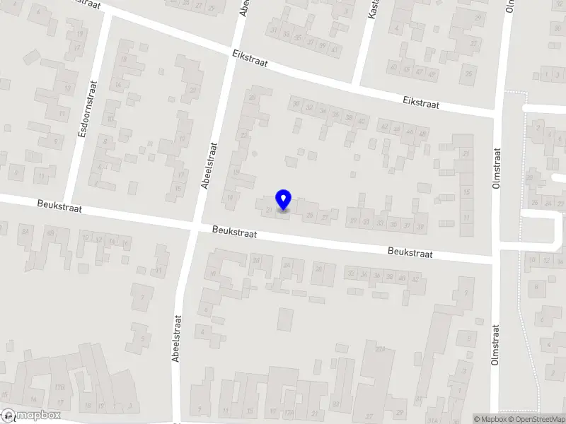 Martin Biesmans senior consultancy