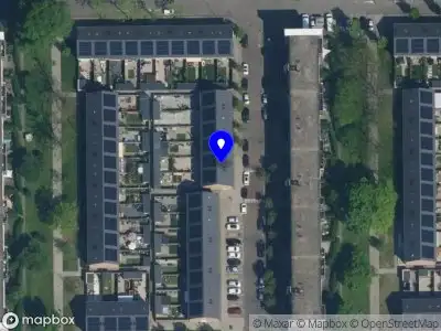Dutch bully kennel club Haarlem