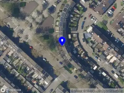 Nieuw bedrijf xoxodesign