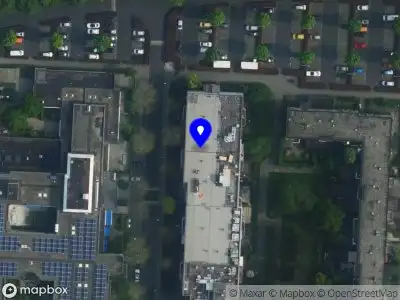 Angelica cleaning company