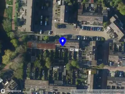 Lotus Kracht & Licht