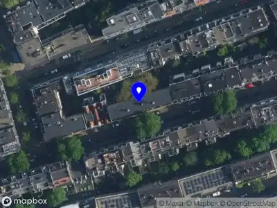 Zen Falcon Amsterdam