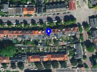 Van den Born freelance