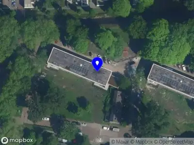 Ieva Barsauskaite Therapy