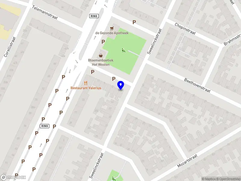 Nieuw bedrijf Luidruchtig Online